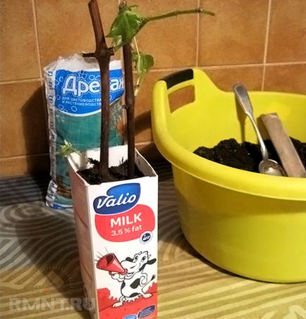 Intelligens dűlő (építőipar) okos szőlő