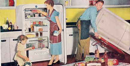 Grijă de frigider cum să dezghețați frigiderul în mod adecvat decât să spălați frigiderul, cursul celor tineri