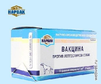 Вакцина проти лептоспірозу собак - інструкція, опис, дозування - ветеринарний препарат