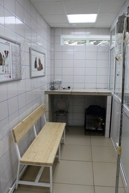 Ветеринарний кабінет Бабкіна в Запоріжжі