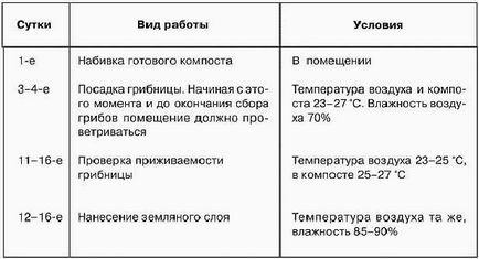 Вирощування шампіньйонів як бізнес - з чого почати і як досягти успіху