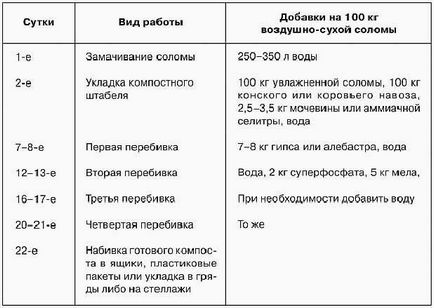 Вирощування шампіньйонів як бізнес - з чого почати і як досягти успіху