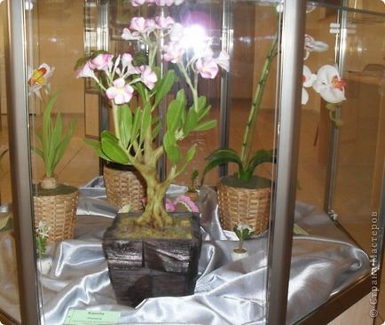 Expoziție - extravaganță de flori, țară de maeștri