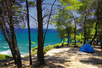 Halkidiki sithonia sau kassandra - locul vinului