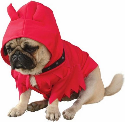Halloween - costume pentru câini - realizate manual