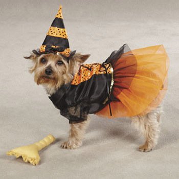 Хеллоуїн - костюми для собак - домашній hand-made
