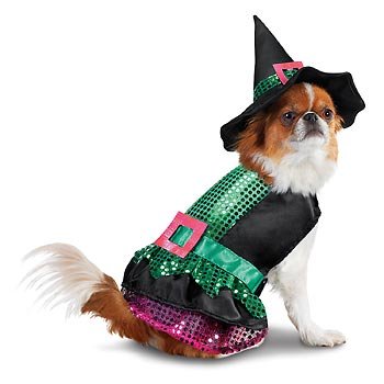 Halloween - costume pentru câini - realizate manual