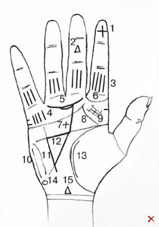 Хіромантія - особливі знаки на долоні