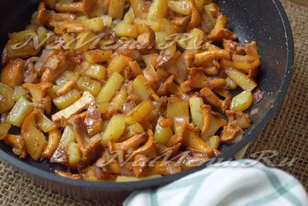 Sült chanterelles burgonyával recept