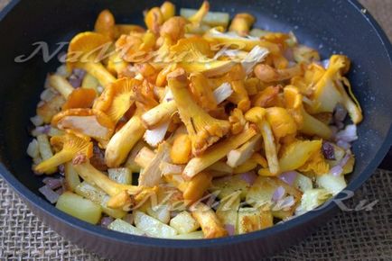 Fried burgonya rókák, vényköteles (gomba) Sült chanterelles burgonyával recept