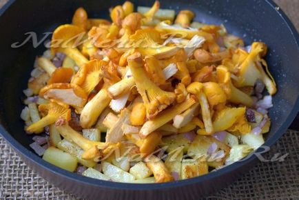 Sült chanterelles burgonyával recept