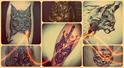 Jelentés tetoválás hiúz jelentése, története és képek