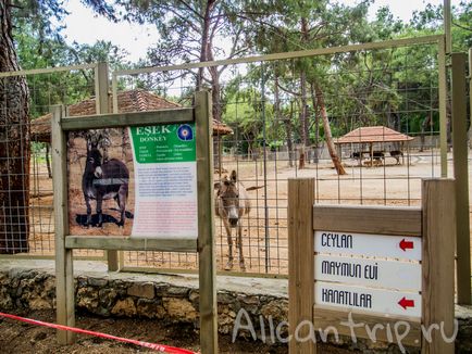 Gradina zoologica din Antalya