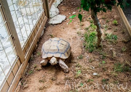 Gradina zoologica din Antalya