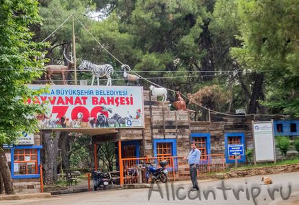 Gradina zoologica din Antalya