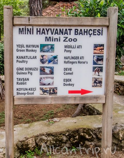 Zoo Antalya