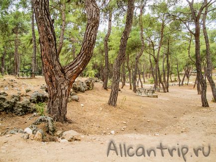 Zoo Antalya