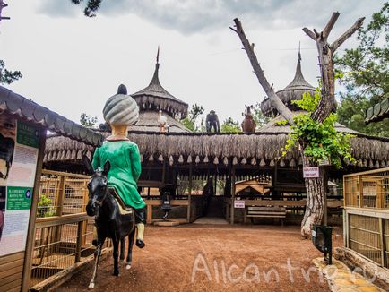 Gradina zoologica din Antalya