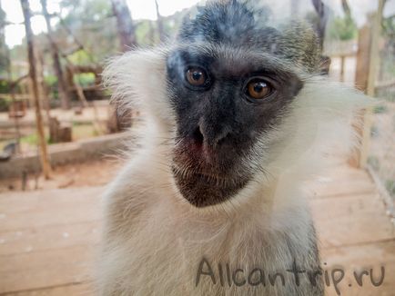 Zoo Antalya