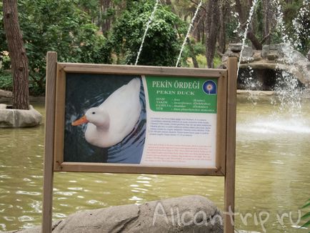 Gradina zoologica din Antalya