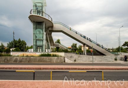 Gradina zoologica din Antalya