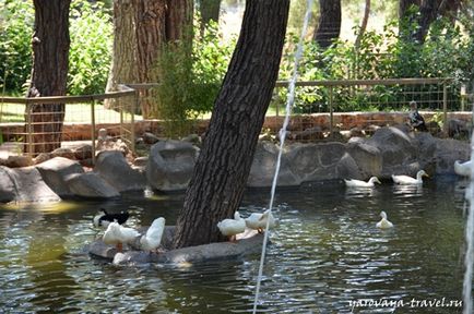 Gradina zoologica din Antalya - cel mai bun loc pentru a va relaxa in Antalya, calatoriti cu primavara Irina