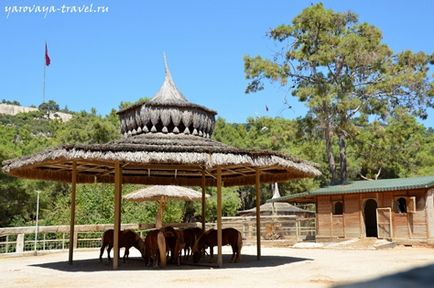 Gradina zoologica din Antalya - cel mai bun loc pentru a va relaxa in Antalya, calatoriti cu primavara Irina