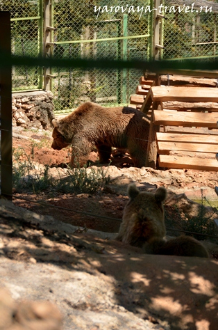 Gradina zoologica din Antalya - cel mai bun loc pentru a vă relaxa în Antalya, călătoriți cu izvorul Irinei