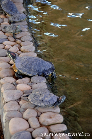 Gradina zoologica din Antalya - cel mai bun loc pentru a vă relaxa în Antalya, călătoriți cu izvorul Irinei