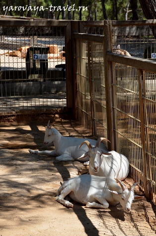 Gradina zoologica din Antalya - cel mai bun loc pentru a va relaxa in Antalya, calatoriti cu primavara Irina