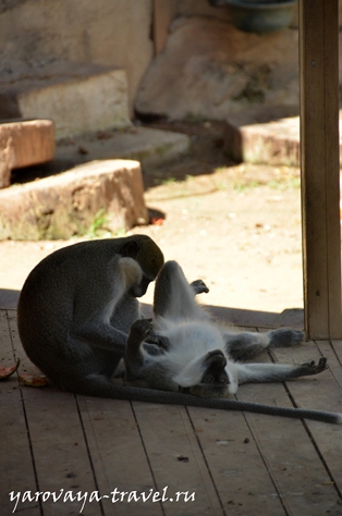 Gradina zoologica din Antalya - cel mai bun loc pentru a vă relaxa în Antalya, călătoriți cu izvorul Irinei