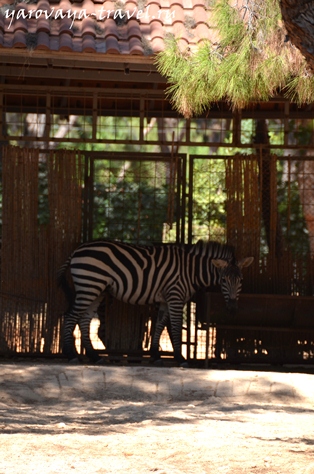 Gradina zoologica din Antalya - cel mai bun loc pentru a vă relaxa în Antalya, călătoriți cu izvorul Irinei