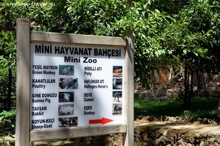 Gradina zoologica din Antalya - cel mai bun loc pentru a va relaxa in Antalya, calatoriti cu primavara Irina