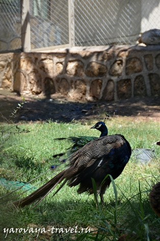 Gradina zoologica din Antalya - cel mai bun loc pentru a va relaxa in Antalya, calatoriti cu primavara Irina