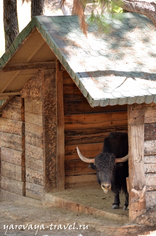 Gradina zoologica din Antalya - cel mai bun loc pentru a va relaxa in Antalya, calatoriti cu primavara Irina