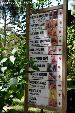 Gradina zoologica din Antalya - cel mai bun loc pentru a va relaxa in Antalya, calatoriti cu primavara Irina