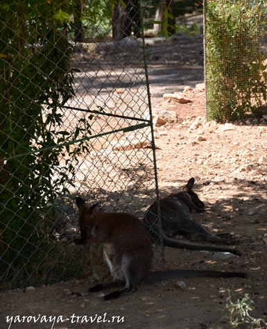 Gradina zoologica din Antalya - cel mai bun loc pentru a va relaxa in Antalya, calatoriti cu primavara Irina