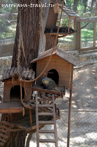 Зоопарк в Анталії - найкраще місце для відпочинку в Анталії, подорожі з Іриною ярої