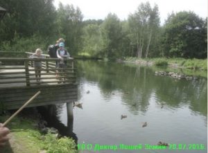 Gradina zoologica din Tallinn - pretul pentru cum sa ajungi acolo