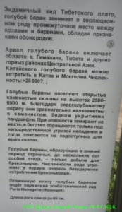 Zoo Tallinn - Hogyan lehet az ára (zoo) Zoo Tallinn - Hogyan lehet az ára
