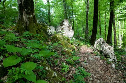 Агурскіе водоспади