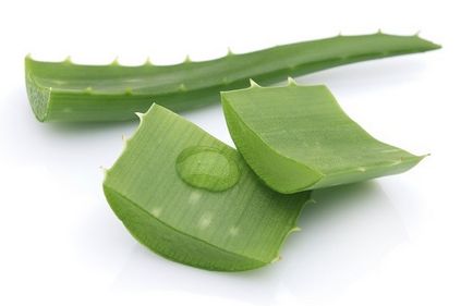 Aloe pentru tratamentul pancreasului în pancreatită
