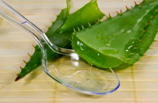 Aloe köhögés gyerekeknek és felnőtteknek - gyümölcslé receptet