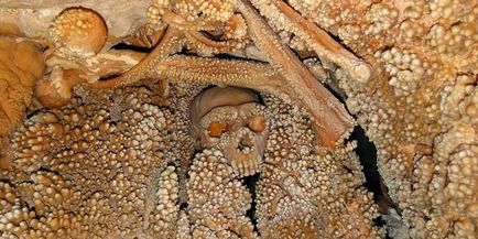 Apulia Olaszország látnivalók, strandok, bor, hogyan lehet eljutni (Apulia) Apulia Olaszország látnivalók, strandok, bor, hogyan juthat