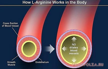 Arginina beneficiază și dăunează