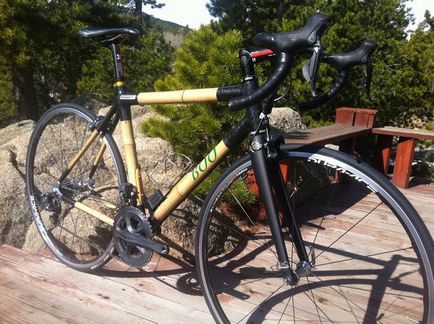 Bicicleta de bicambo-carbon, ace