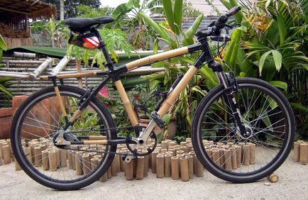 Bicicleta de bicambo-carbon, ace