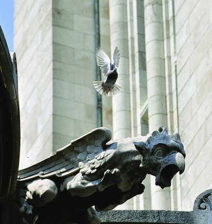 Bazilica Sacre Coeur