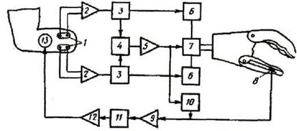 Antebraț protetic biocontrolat