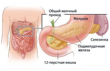 Стомашни болки след употреба на алкохол - същото може да се лекува